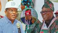 Tribunal judgment: Why Peter Obi should support Tinubu, Umahi reveals