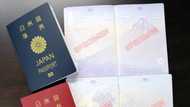 Top 10 countries with the world's most powerful passports in 2021 revealed (full list)