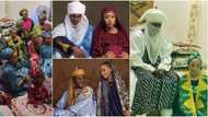 It looks like Zee world: Nigerians react to Yusuf Buhari's pre-wedding video, photos from henna party