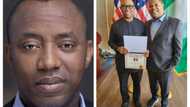 Sowore mocks Peter Obi for celebrating US honourary award