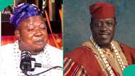 Ogogo’s cancer: Herbal practitioner explains reason he refused to treat actor despite N10m offer