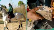 "I lost money": Man in "tears" after he was charged N42,000 for riding horse in Lagos beach