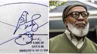 "This is a drawing": Man signs complex signature that has bird, photo goes viral on Twitter