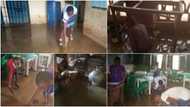 We can't learn, we get drenched when it rains: Pupils of Enugu school lament, many react to heartbreaking clip