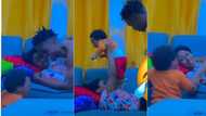Little boy in tears as he bumps into father playing with mum in living room, dad reacts