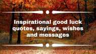 Inspirational good luck quotes, sayings, wishes and messages