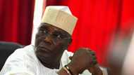 Atiku Abubakar's biography: education, net worth, businesses, family