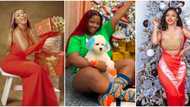 Single-pringle club: 7 celebrities who dazzled alone in their Christmas Day posts, no matching PJs