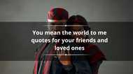 150+ you mean the world to me quotes for your friends and loved ones