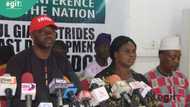 Group hails NEDC leadership for addressing humanitarian crises in northeast