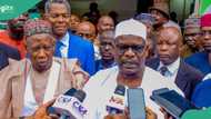 Ndume to be reinstated as chief whip after apology, details emerge