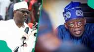 Battle between Dangote and PENGASSAN: Concerned northern senator tells Tinubu what to do