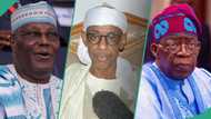 Atiku's coalition: Baba-Ahmed mentions southern politicians plotting to unseat Tinubu ahead of 2027