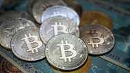 Bitcoin's renewed euphoria as price keeps rising