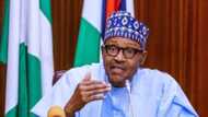 Matasan Tibi Sun Yabawa Buhari Kan ‘Ragargazan’ Nnamdi Kanu da Sunday Igboho