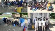 13 Boko Haram terrorists, 23 family members surrender in Borno, says Defence HQ