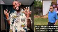 Pay better school fees: Davido brags as 'oyinbo' parents storm Hailey's birthday party with their kids
