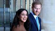 Prince Harry claims people were surprised he landed Meghan Markle, snippet of ‘Harry & Megan’ has peeps split