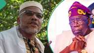 “Release Nnamdi Kanu”: Catholic bishops beg Tinubu, give 1 major reason