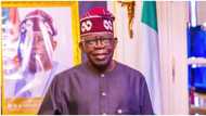 President Bola Tinubu finally reveals where he got spirit of 'Emi Lokan', other popular statements