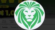 All you need to know about the betting site, Lionsbet
