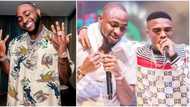 Baddest & biggest bird: Davido reacts as Wizkid announces joint tour, celebrities & fans gush