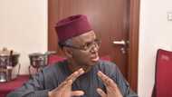 Zaɓen ƙananan hukumomi: Nasarar da PDP ta yi a akwati na ya nuna APC bata yi maguɗi ba, El-Rufai