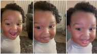 Cute baby girl with curly hair sings beautifully in high pitch voice, sweet video goes viral