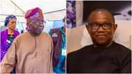 Peter Obi Ya Shiga Cakwakiya Yayin Da Tinubu Da Shettima Suka Gabatar Da Wata Kwakkwarar Shaida a Kansa