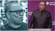 Court gives verdict on Peter Obi's candidacy in 2023 election