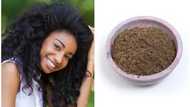 How to use chebe powder for hair growth: Complete guide