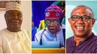 Economist Intelligence Unit predicts supreme court's verdict on Tinubu’s presidency, analyses Obi's chances