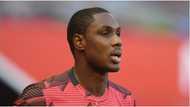 Jubilation in Nigeria as top clubs reportedly interested in signing Odion Ighalo from Manchester United