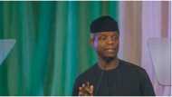 Osinbajo not among ‘Aso Rock elements’ working against Tinubu, El-Rufai declares