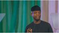 Osinbajo drops bombshell, says Borno is about size of UK, plus Sweden or Denmark