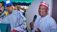 Ganduje’s LGA Chairman, Others Dump APC, Join Kwankwaso's NNPP in Kano