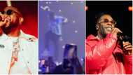 Odogwu no go like this one: Funny reactions as DJ stops Burna Boy's song during Zlatan's performance at O2