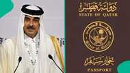 Qatar names 2 categories of foreigners eligible for permanent residency without meeting conditions