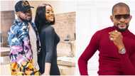 Uche Maduagwu trolls Davido over wife’s culinary skills: "She sabi cook but you never open restaurant for her"