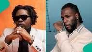 Olamide and Burna Boy’s heartwarming reunion steals the show in Lagos: "Burna get money pass am"