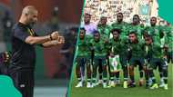 AFCON 2023 star becomes first Super Eagles player to react after Eric Chelle's appointment as coach