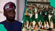 D'Tigers eye Tinubu's $100k reward after beating Madagascar in AfroBasket