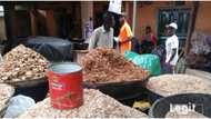 Legit.ng weekly price check: Lagos trader reacts as Bag of egusi sells for N220,000 in popular market