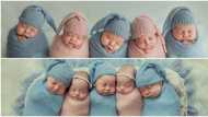 Ukrainian couple welcomes 5 babies at once, photos of beautiful quintuplets melt hearts online