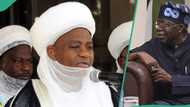 FG asked to declare public holiday as Sultan announces start of Islamic New Year 1446 AH