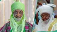 Kano emirate battle: UN, EU, ECOWAS told to immediately intervene