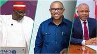 APC, PDP, NNPP, LP: Biggest political defections that shook Nigeria in 2023