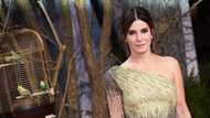 Top facts about Sandra Bullock net worth, plastic surgery, husband and children