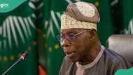 "Most important thing": Obasanjo asks Sokoto governor to focus on stomach infrastructure