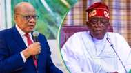 "It is just too big": Prominent lawyer Agbakoba speaks on number of ministers Tinubu need